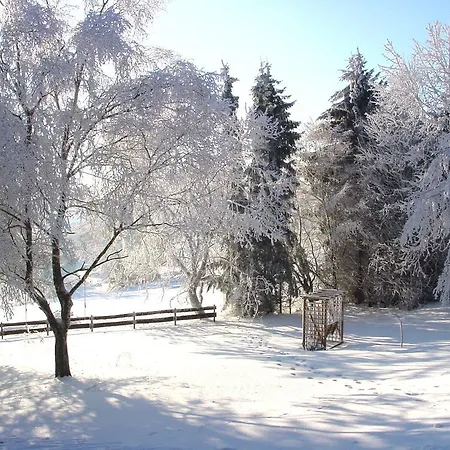 Holms ווינטרברג